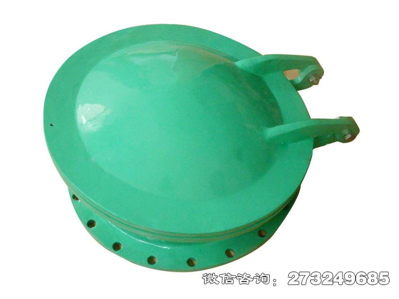 綦江耐腐蚀管道玻璃钢拍门