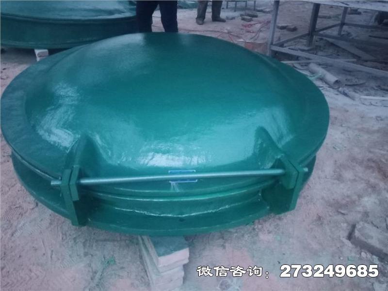 綦江轻质玻璃钢拍门