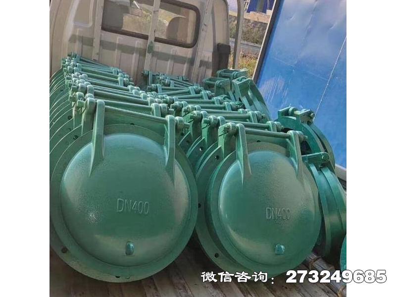 武穴污水管玻璃钢拍门