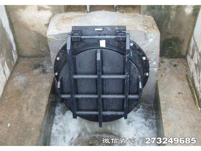 安徽钢制水渠拍门